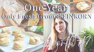 One Year On Fresh Ground Flour | Fresh Ground Einkorn | Fresh Ground Flour Testimony |