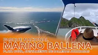 As&iacute; es el Tour a las Ballenas en Costa Rica 🇨🇷 | Playa Uvita, Naturaleza y Aventura &ndash; Cap&iacute;tulo 61 CR