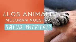 ¿Cómo mejoran los ANIMALES nuestra SALUD MENTAL?