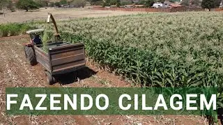 Imagens aéreas: trator em ação na produção da silagem