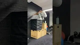 Insane box jump!! 🚀