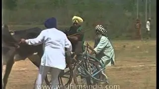 Bullock cart racing CRASH in Punjab!