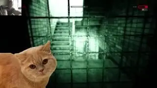 Самые страшные смешные моменты с Фростом 2 Outlast Whistleblower