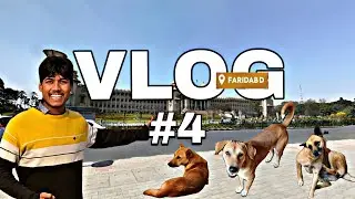 DOG Prank Gone Wrong 😱😂 | Funniest Dog Reaction Ever!