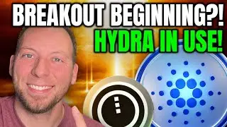 CARDANO ADA - НАЧАЛО ПРОРЫВА?!! HYDRA ИСПОЛЬЗУЕТСЯ! ЗАДЕРЖКА В РАБОТЕ С КРИПТО!