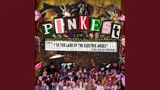 To the Land of the Electric Angel