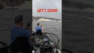 What Bit in the Wisconsin River⁉️ #fishing