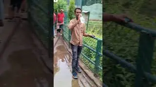 Surat City ZOO