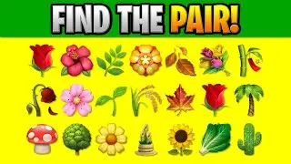 FIND THE EMOJI PAIR! P00012 Find the Difference Spot the Difference Emoji Puzzles PLP