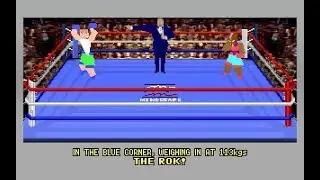 4D Sports Boxing (PC/DOS) 1991, Distinctive Software Inc, Mindscape