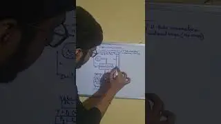 🧪 