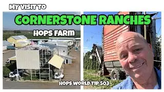 CORNERSTONE RANCHES HOP FARM - HOPS WORLD TIP 503