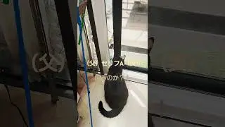 ＃沢山見て下さい（笑）