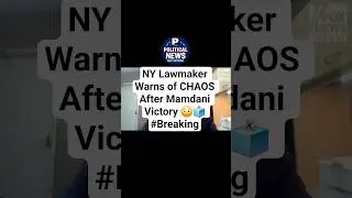 NY Lawmaker Warns of CHAOS After Mamdani Victory 😳🗳️ #Breaking