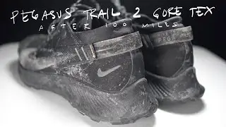 Pegasus Trail 2 Gore Tex - After 100 Miles