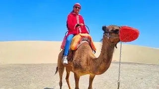 ¿Camellos en Perú? l Primera ves Motando un Camello