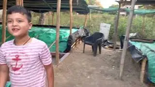 Vermicompost dehradun#organic#organic compost# buy earthworms in Dehradun