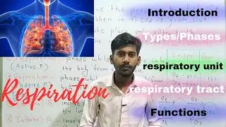 Respiration | Types | Phases | function | Respiratory tract | Respiratory unit | etc... 