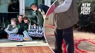 Disney Channel actress, activist, arrested for vandalizing Israeli company&rsquo;s offices