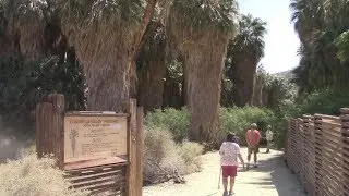 Hiking Palm Springs - White Water Preserve, Palm Canyon Trail and More