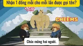 Super Dog Cheems h&agrave;i hước vui nhộn