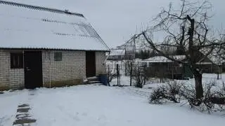 Racing pigeons 2017-01-08 Outside-8C&deg;
