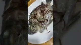 #food #shrotsvideo #cooking #seafood #shrots #jadulmantul #enak #asianfood #delicious #steamfish
