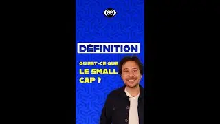 Qu'est-ce que le Small Cap en Finance ?