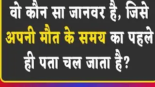 shiwani Sharma  is live Gk question 🤔🙈,SSC 💐 jwab jlde