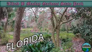 Exploring Alfred B Maclay Gardens State Park in Florida || Fulltime RVers