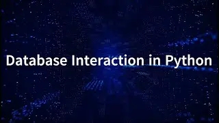 White Belt - Database Interaction in Python