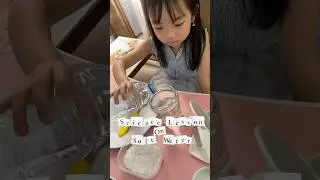 Fun with Science Experiment - Salt Water 👩&zwj;🔬 #scienceexperiment #kidsscienceexperiment