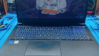Thunder Robot Gaming Laptop | Disassembly | Hinge Repair | Tech Tips | Computer Repair