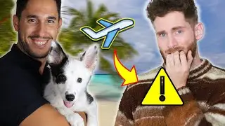 Te vas de vacaciones? NO DEJES tu perro a un amigo (sin ver este video)