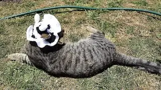 Gorro para gato de vaca | T&eacute;cnica a crochet | Tutorial Paso a Paso.