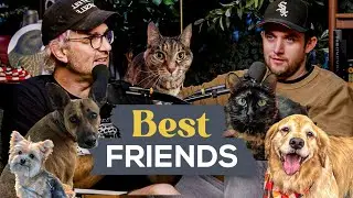 Best Friends: Animal Cult | Flightless Bird