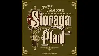 Timelapse - Vintage Labels Design.