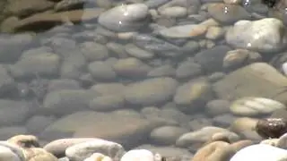 video flutmulde machlanddamm