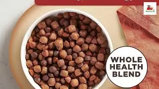 Rachael Ray Nutrish Premium Natural Dry Dog Food Buying Guide