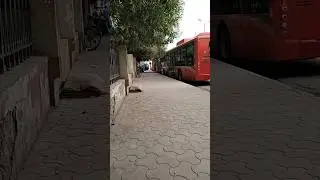 🚦🚨RED BUS STOP KEAMARI ONE NUMBER