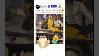 🔥🐾 Dogs&rsquo; Lives Matter |  🎉❤️ IT&rsquo;S A PARTY FOR PAWS & PEOPLE! 🐶🕺🎊 #Shorts #ShortsFeed #Dogs #fyp