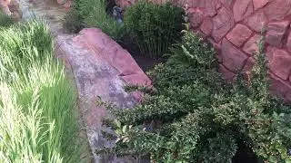 Water Flowing Gently at a Spa in Manitou Springs CO #water #calmingvideos  #maryjanechronicles
