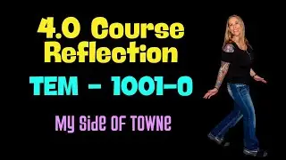4.0 TEM COURSE REFLECTION - FULL SAIL UNIVERSITY