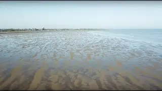 De toekomst van de Waddenzee; zeespiegelstijging, bodemdaling en sedimentatie in de Waddenzee