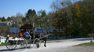 This Group of Amish Live Longer. Here's Why.