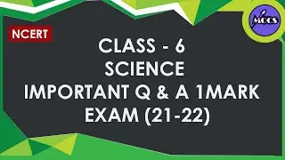 Class 6 | Science | Important | 1 Mark Questions with Answers | NCERT 2022