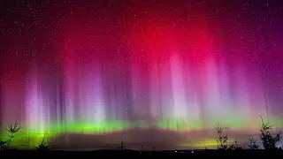 Aurora Borealis and Cloud Timelapse January 19, 2026 - Clatsop Forest, Oregon