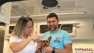 Mobile Pet Grooming in Secaucus, NJ| Rapawzel Dog Grooming