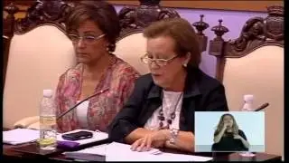 Pleno Ayuntamiento de octubre de 2014