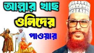 আল্লার খাছ ওলিদের পাওয়ার খুব গুরুত্বপূর্ণ ওয়াজ | আল্লামা দেলোয়ার হোসাইন সাঈদী | সাঈদী ওয়াজ